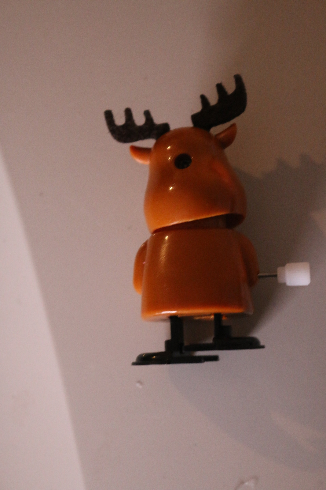 Picture 3 of 6