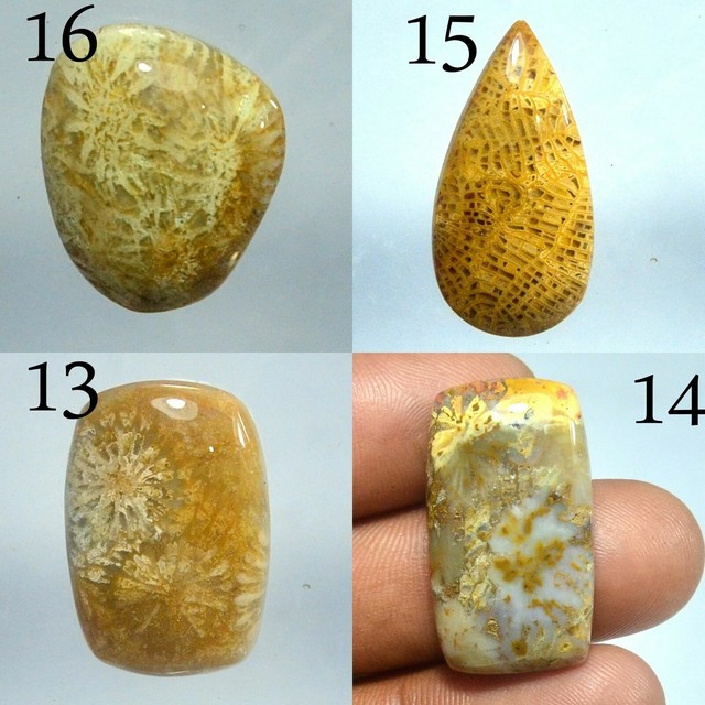 100 Natural coral stone Indonesia well polished loose cabochon