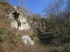 Photo A2 Old quarry near Gripesnest Bedstone  c2012