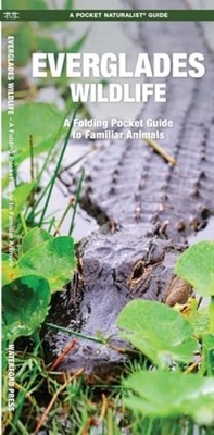 Everglades Wildlife: A Folding Pocket Guide to Familiar Animals by Kavanagh: New
