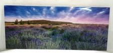 Design Art MT10353-28-12 Summer Lavender Field In Tihany Metal Wall Art 28"x 12"