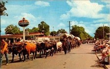 1950'S. WESTWARD HO ! PARADE. PENDLETON, OR. AMERICAN GAS STATION. POSTCARD ZT5