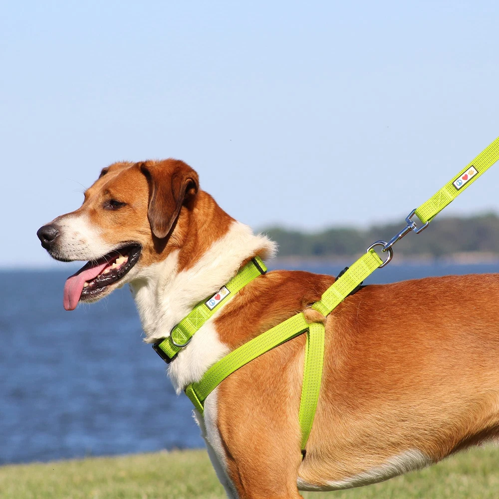 Dog Harness Medium Sized Dog Marsala Brown Dog Harness Step in from a Senior ... Dog Harness Medium Sized Dog Marsala Brown Dog Harness Step in from a Senior ...