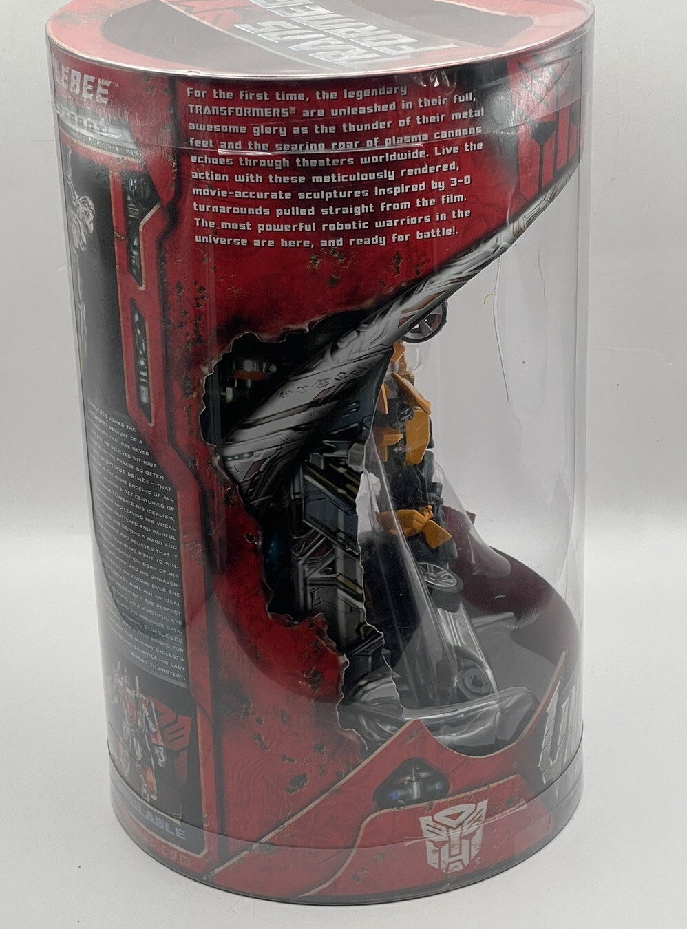Picture 8 of 13