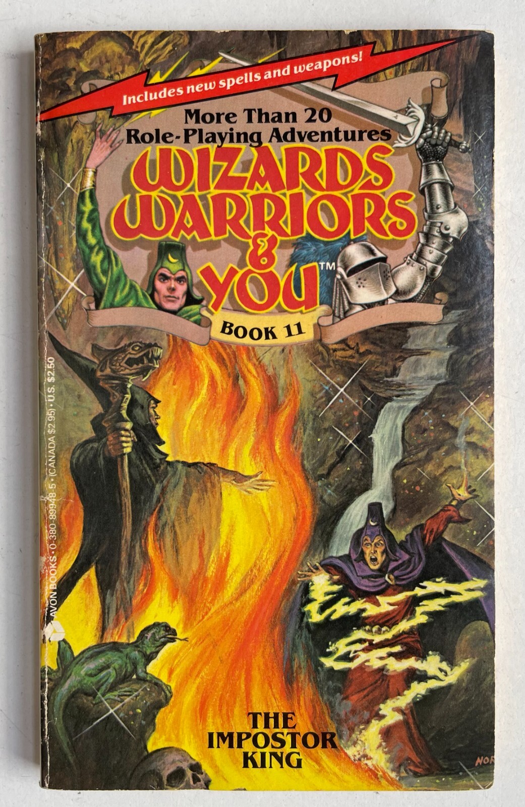 The Impostor King Wizards, Warriors & You Book 11