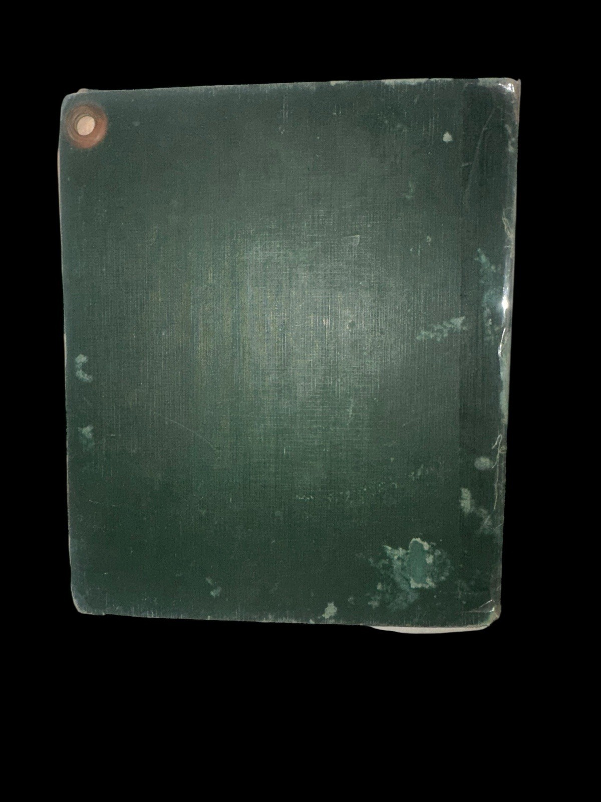 Picture 5 of 6