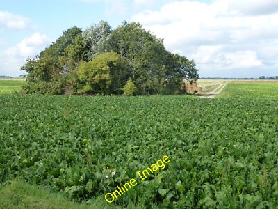 Foto 12x8 Zuckerrüben und Kops bei Hake's Drive Flood's Ferry ein Blick für c2014