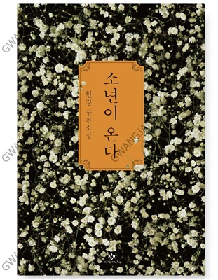 Human Acts Han Kang 2024 Nobel Prize Korean Kpop Novel Famous Legend D