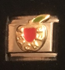 Teacher Apple Wholesale Italian Charm Enamel Link 9MM K19 Style TA