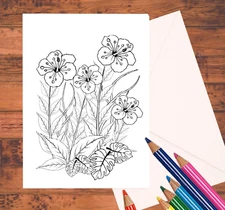 Floral Adult Coloring Cards 5" x7" DIY Paper Crafting Greeting Card Kit Set of 8