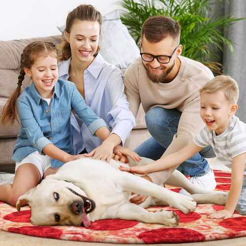 Pizzas Blanket, Wrap Throw Food Blanket, Novelty Funny Flannel round Blanket Fun - Picture 5 of 12