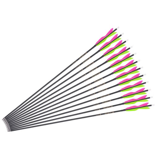 Pluma de ganso con flecha de carbono 32,5" Sp500-600 6 piezas para tiro con arco recurvo/compuesto - Imagen 4 de 8