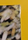 Bild 9 von 9