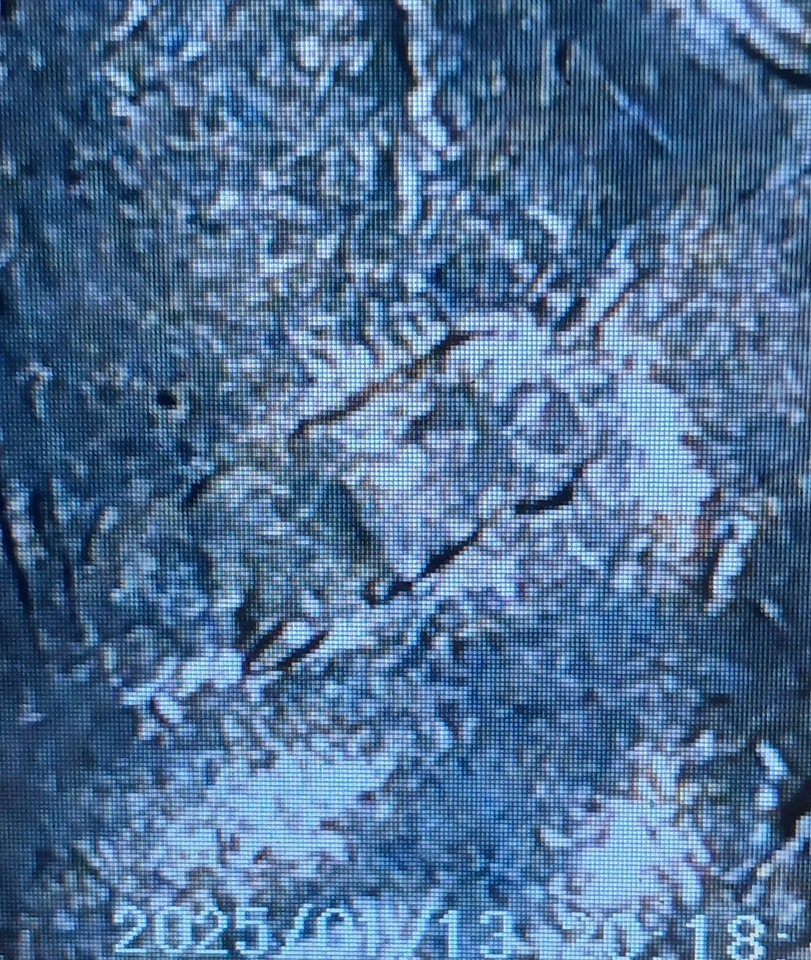 2006 D Nebraska Quarter Strike Through Error Coin - Image 3 of 4