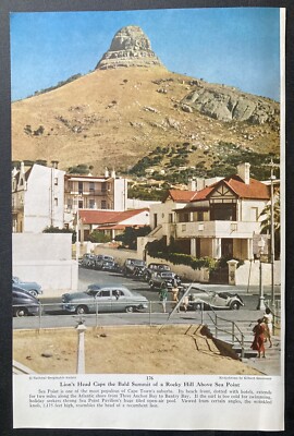 1953 original magazine photo sea point cape town south africa lions head