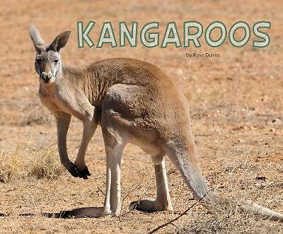 Kangaroos by Rose Davin (Hardcover) Facts Learning Book for Children age 5-7
