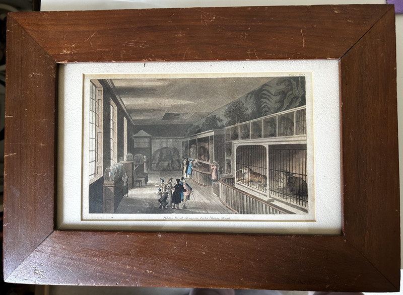  Pelito's Menagerie 1800'S - ZOO/CIRCUS FRAMED PRINT - COLOR - 5-1/2 X 8-1/2 IN