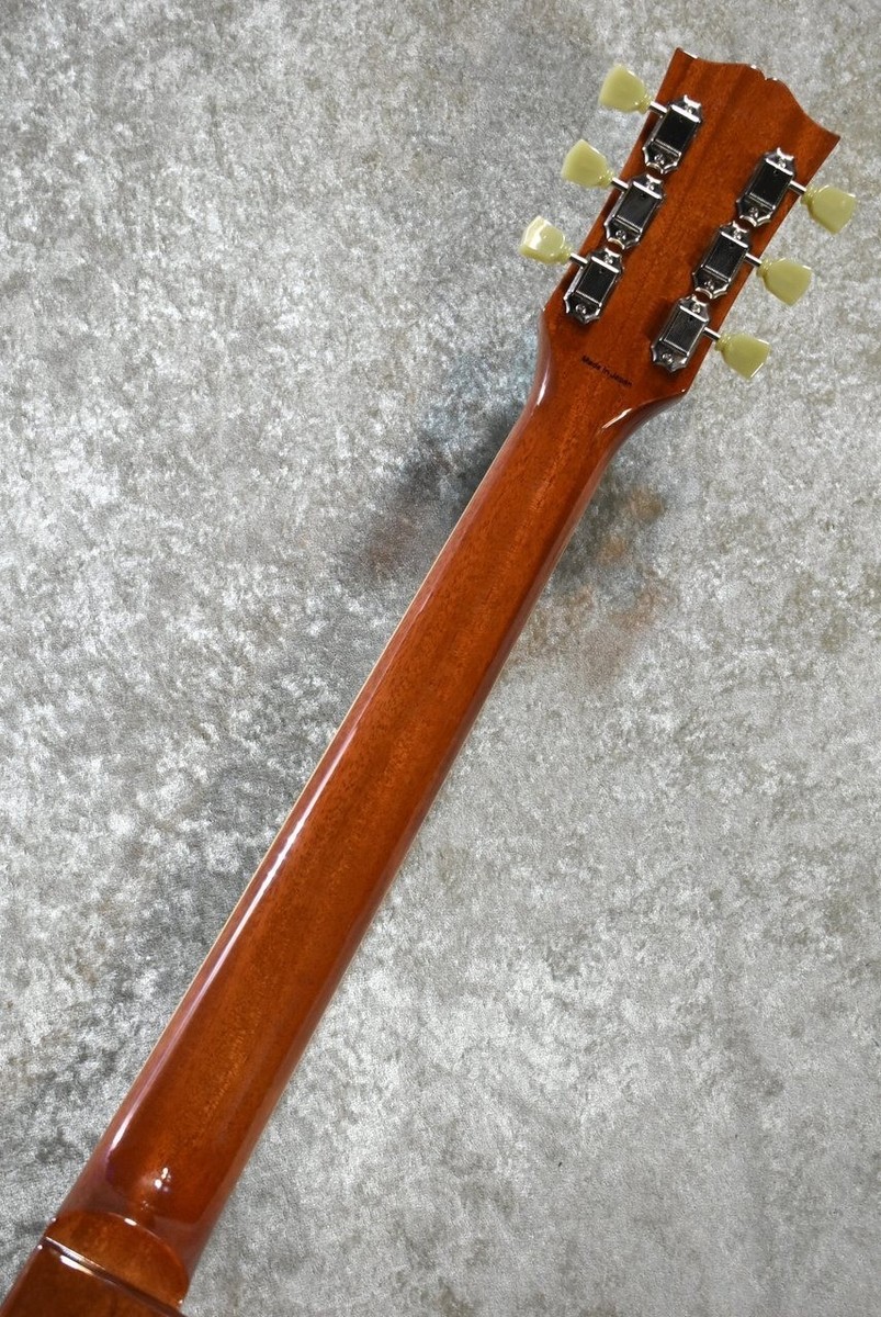 テントウTOKAI KLS170F Tokai KLS170F-LW 2020 - SeeThroughBlue ［HandSelectRosewood