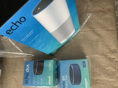 home assistant echo plus