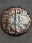 U.S. Mint 2024 American Silver Eagle 1 oz Silver .999 TONED