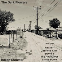 Dark Flowers - Indian Summer - Cd - G3Z