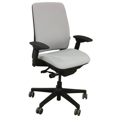 Steelcase Amia Office Chair - Fabric, Adjustable Lumbar Support, 4D Armrests