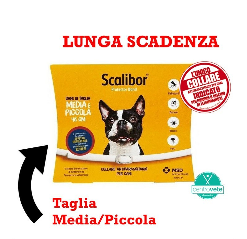 SCALIBOR 48 / 65 Cm ⇢ COLLARE Antiparassitario CANI + Shampoo Antiparassitario: Formato 65 cm + Shampoo Antiparassitario/1 Collare/1 Collare + Shampoo Kailimpiu/Bianco/unica img