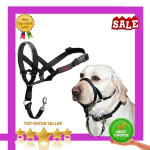 halti lead to stop pulling