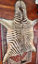 Real Zebra Skin Rug Hide