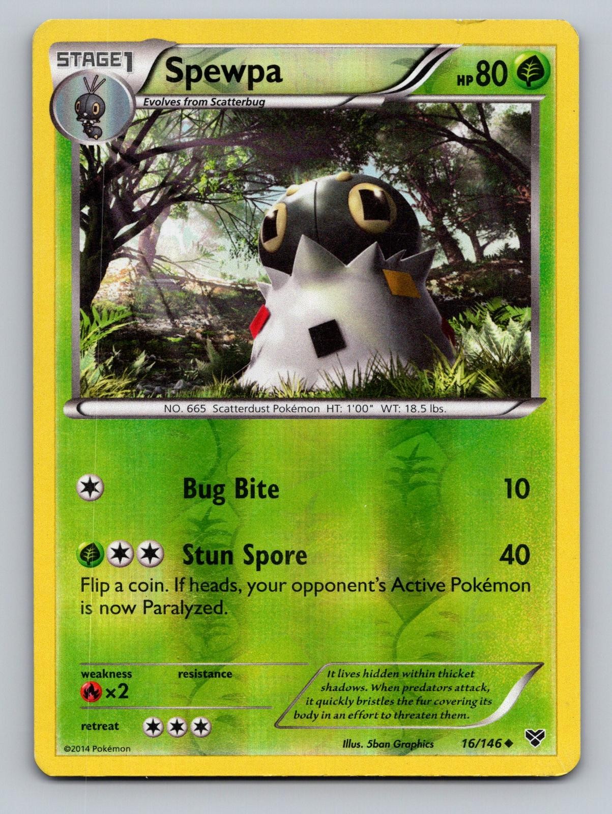 Spewpa 16/146 Uncommon Pokemon Reverse Holo