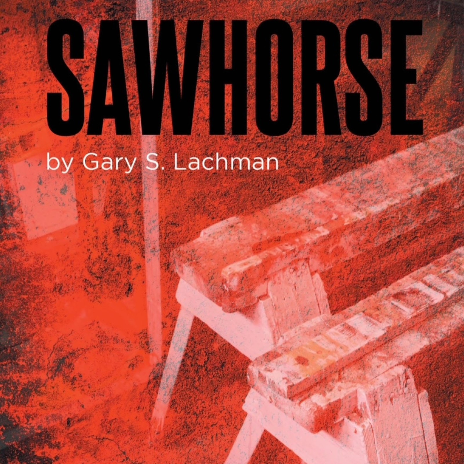 Gary S. Lachman Page Publishing Luke Daniels Sawhorse (Audiobook)