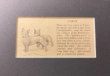Pembroke Welsh Corgi - Custom Matted 5 x 7 - 1950 Vintage Dog Art Print