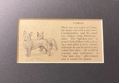 Pembroke Welsh Corgi - Custom Matted 5 x 7 - 1950 Vintage Dog Art Print