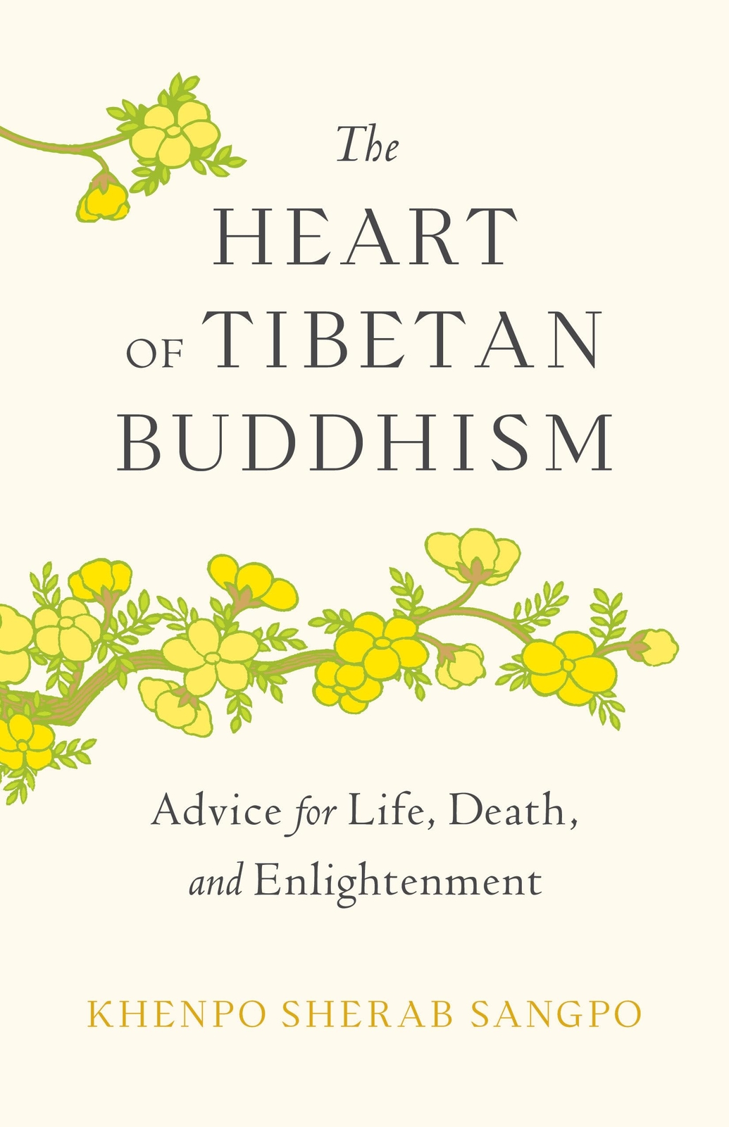 Heart of Tibetan Buddhism : Advice for Life, Death, and Enlightenment - PBK NEW