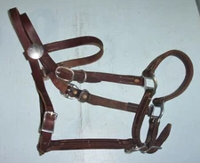 Koyle Saddlery Leather Bridle Halter Combo Endurance Trail Western Horse Tack 