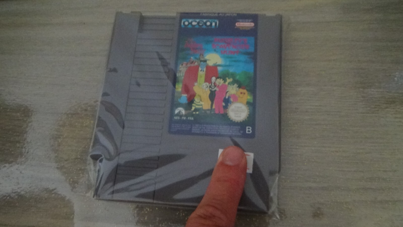 pugsley's scavenger hunt nes loose