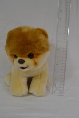 Gund Boo The World's Cutest Dog Pomeranian Plush 10'' Puppy Sitting Down T4