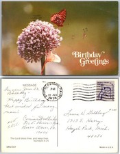 Flower Butterfly Birthday Postcard