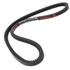 MASTER-SPORT AVX-10X775 Zahnkeilriemen 775mm für VW; AUDI; FORD; RENAULT FUEGO