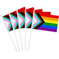 G128 30 Pack LGBT Progress Rainbow Pride Stick Flags 4x6 In Printed 150D Poly