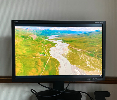 NEC MultiSync PA241W 24 Zoll LCD Monitor 1920x1200 16:10 DP DVI USB schwarz
