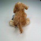 Picture 3 of 6