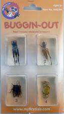 My First Lab, Buggin-Out Micro Fun Bug Set C A 00128