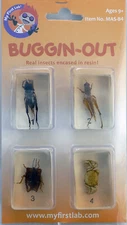 My First Lab, Buggin-Out Micro Fun Bug Set C&A 00128