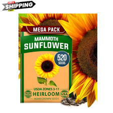Mammoth Sunflower Seeds 520+ Giant for Planting Bulk Packet Heirloom