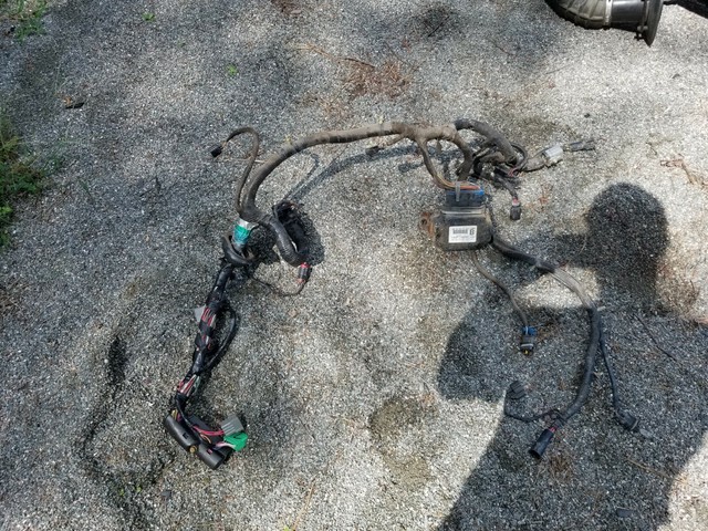 2001 Ford Mustang GT 4.6l V8 ECU Engine Computer Y CCRM Module Wiring