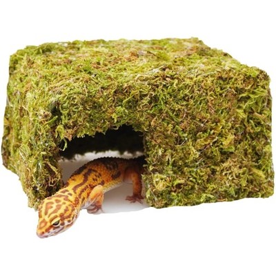 Leopard Gecko Versteckhüle aus Waldmoos für Reptilien, handgefertigt, verstel...