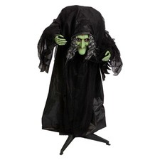 Halloween Animated Witch Decoration Party, Trick or Treat