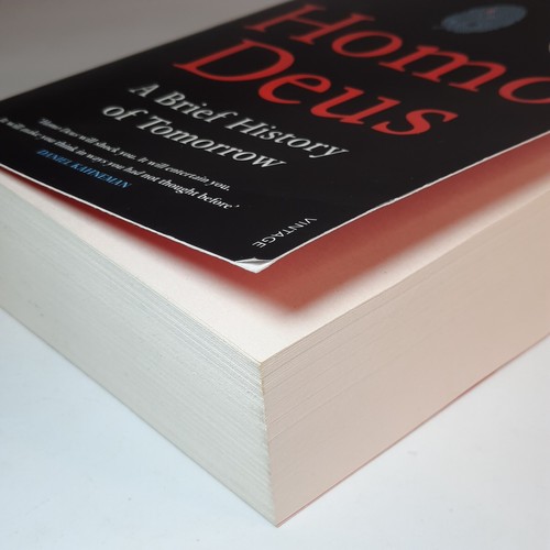 Homo Deus: A Brief History of Tomorrow by Yuval Noah Harari (Author Of Sapiens) - Picture 8 of 13
