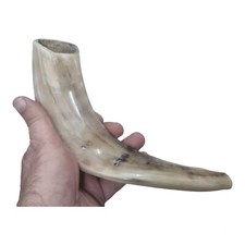 100 Kosher Polish Ram Horn Shofar size 14-16" 35-40cm Curved Made in Israel
